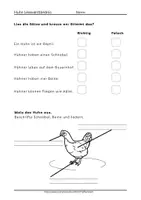 Vorschau - Arbeitsblätter - Das Huhn Arbeitsblätter Leseförderung Klasse 1 2 - Seite 3