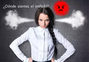 Vista previa - Hojas de trabajo - Dónde sientes el enfado - Portada