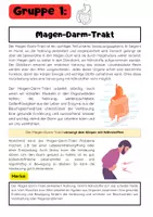 Vorschau - Stationenlernen - Organe Gruppenarbeit: Herz, Gehirn, Haut und Verdauung - Seite 1