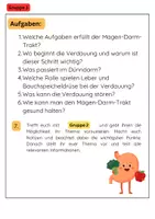 Vorschau - Stationenlernen - Organe Gruppenarbeit: Herz, Gehirn, Haut und Verdauung - Seite 2