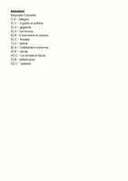 anteprima - Quiz - Selezionare aggettivi qualificativi - Pagina 3