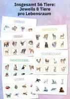 Vorschau - Bildkarten - Tiere und ihre Lebensräume – Zuordnungsspiel mit 25 A4-Seiten für Kita & Grundschule - Seite 2