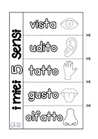 anteprima - Materiale di supporto/inclusione - Scopri i 5 sensi con il flipbook - Pagina 3