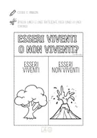 anteprima - Esercizi - Esseri Viventi e Non Viventi. Il flipbook per la classe 2 - Pagina 2
