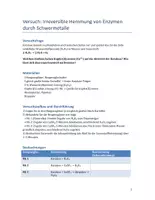 Vorschau - Arbeitsblätter - ENZYME - BIOKATALYSATOREN DER ZELLE (XL Materialpaket) - Seite 1