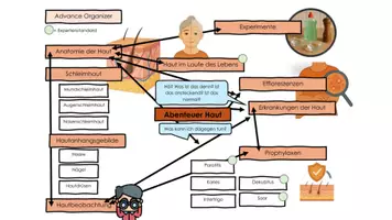 Vorschau - Präsentationen/Tafelbilder - Die Haut - Unterrichtspräsentation - Seite 2
