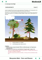 Vorschau - Arbeitsblätter - Ökosystem Wald - Tiere & Pflanzen - Arbeitsblätter mit Lösungen - Deckblatt