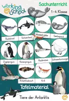 Vorschau - Stationenlernen - Tiere der Antarktis - Deckblatt