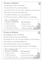 Vorschau - Arbeitsblätter - LESEN UND VERSTEHEN Wichtiges über den Wald - Seite 3
