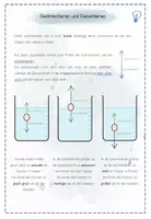Vorschau - Stundenentwürfe - Trennverfahren: Sedimentieren und Dekantieren | Chemie Übung 8 | fertige Unterrichtsstunde | sofort einsetzbar - Seite 2