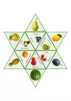 Vorschau - Stationenlernen - Legestern (Lesespiel) Obstsorten, 2-fach differenziert - Seite 3