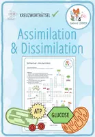 Vorschau - Spiele - Stoffwechsel: Assimilation und Dissimilation – Kreuzworträtsel - Deckblatt