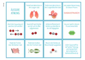 Vorschau - Arbeitsblätter - Vergleich äußere und innere Atmung – Zuordnungsaktivität - Seite 3