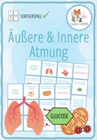 Vorschau - Arbeitsblätter - Vergleich äußere und innere Atmung – Zuordnungsaktivität - Deckblatt