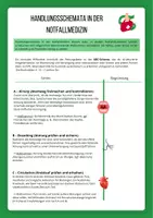 Vorschau - Arbeitsblätter - Entwicklung der Notfallmedizin – ABC- und CAB-Schema - Seite 1