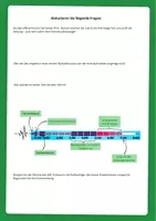 Vorschau - Arbeitsblätter - Entwicklung der Notfallmedizin – ABC- und CAB-Schema - Seite 3