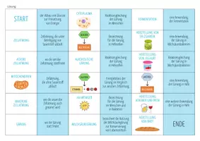 Vorschau - Spiele - Gärung – Domino Spiel (Abitur) - Seite 1