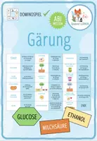Vorschau - Spiele - Gärung – Domino Spiel (Abitur) - Deckblatt