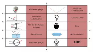 Vorschau - Spiele - Domino "Optik": schnell einsetzbar! - Seite 1