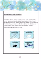 Vorschau - Bildkarten - Nähutensilien_Beschriftung_Ordnungssystem - Deckblatt