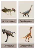 Vorschau - Präsentationen/Tafelbilder - Dinosaurier Bildkarten & Wortkarten (Flashkarten) - Seite 3