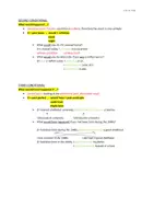 Vorschau - Arbeitsblätter - Conditionals - Explanations - Seite 2