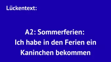 Vorschau - Arbeitsblätter - Lückentext: Sommerferien: Ich habe ein Kaninchen bekommen - Deckblatt