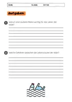 Vorschau - Arbeitsblätter - Wale Lebensraum: Klasse 2 - 6 - Seite 3