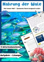 Vorschau - Arbeitsblätter - Nahrung der Wale: Aufgaben für Grundschüler - Deckblatt
