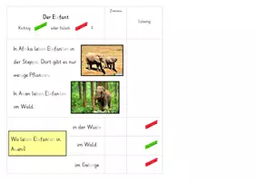 Vorschau - Stationenlernen - 4 Klammerkarten Infotext lesen Zootiere Wildtiere - Seite 3