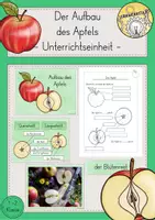 Vorschau - Stundenentwürfe - Apfel Unterrichtsreihe Materialpaket - Seite 1