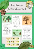 Vorschau - Stundenentwürfe - Bäume Laubbäume Nadelbäume Wald Unterrichtsreihe Materialpaket - Seite 1