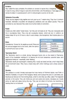 Vorschau - Arbeitsblätter - Australian Animals Reading Comprehension - Seite 2
