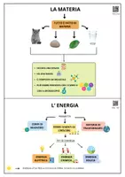 anteprima - Audio - Mappa scienze argomenti classe 3 - Pagina 3