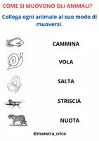 anteprima - Materiale di supporto/inclusione - GLI ANIMALI SI MUOVONO - Pagina 1