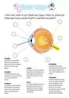 Vorschau - Arbeitsblätter - Unser Auge - Arbeitsblatt zum Aufbau de menschlichen Auges - Seite 1