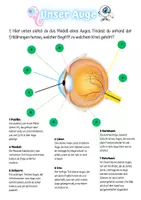Vorschau - Arbeitsblätter - Unser Auge - Arbeitsblatt zum Aufbau de menschlichen Auges - Seite 3
