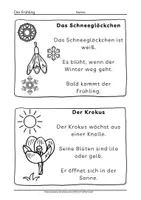 Vorschau - Arbeitsblätter - Arbeitsblätter Frühling Arbeitsheft über Frühblüher, Blumen und Tiere - Seite 2