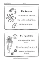 Vorschau - Arbeitsblätter - Arbeitsblätter Frühling Arbeitsheft über Frühblüher, Blumen und Tiere - Seite 3