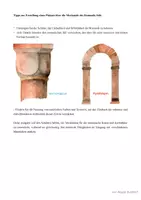 Vorschau - Arbeitsblätter - Kunst und Architektur der Romanik.(Arbeitsblatt) - Seite 1