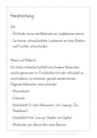 Vorschau - Stundenentwürfe - Nadelbäume Unterrichtseinheit - Seite 2