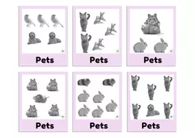 Vista previa - Juegos / Gamificación - Pets cards game - página 2