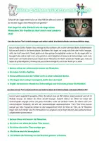 Vorschau - Arbeitsblätter - Optik & Schall: Hören & Sehen bei Katze und Mensch - Seite 2