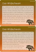 Vorschau - Stationenlernen - Wissenskartei: Tiere des Waldes - Seite 2