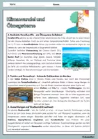 Vorschau - Arbeitsblätter - Klimawandel und Ökosysteme - Ausführliche Erklärung mit Aufgaben und Lösungen - Seite 2