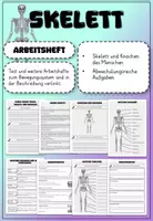 Vorschau - Stundenentwürfe - Arbeitsheft Skelett und Knochen - Deckblatt
