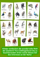 Vorschau - Bildkarten - 60 Zootiere Bildkarten im Wasserfarbenstil – Tiere aus aller Welt für Kita, Grundschule & Förderunterricht - Seite 2