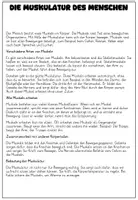 Vorschau - Stundenentwürfe - Arbeitsheft Muskeln Bewegungssystem - Seite 2