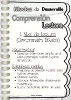 Vista previa - Hojas de trabajo - Niveles de Desarrollo COMPRENSIÓN LECTORA - página 2