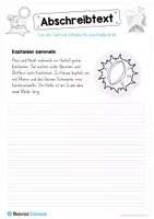 Vorschau - Arbeitsblätter - 10 Abschreibtexte zum Herbst - Seite 3